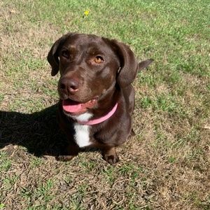 Meet your Posher, Haley